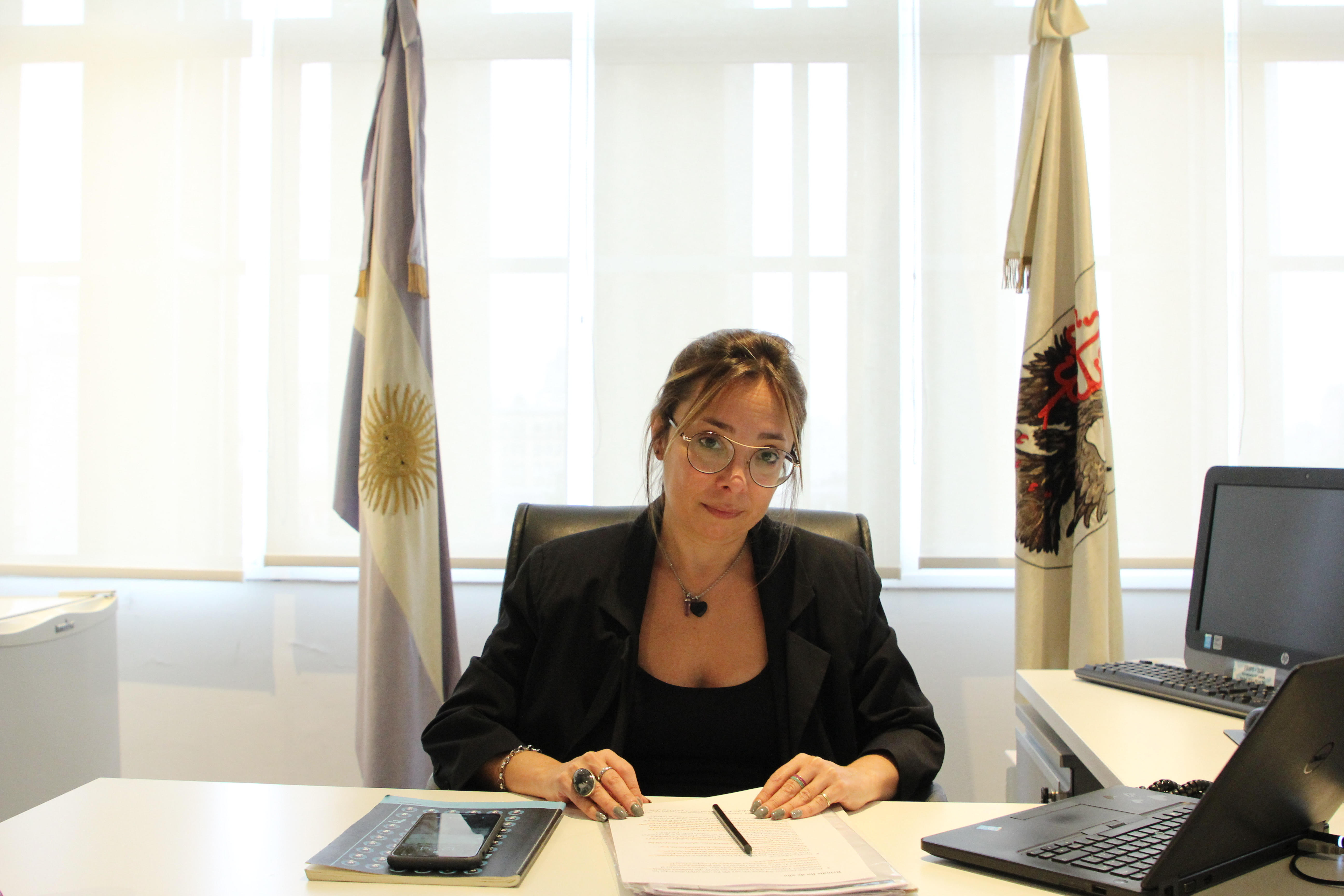 Imagen auditor